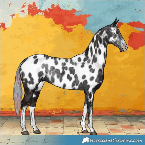 Horse Color:Nacre White Spotted Midnight Silver Black Ice Near Leopard 