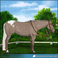 Horse Color:Silver Grullo Snowflake Varnish