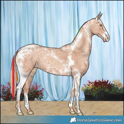 Horse Color:Painted Gold Champagne Ice Tobiano 