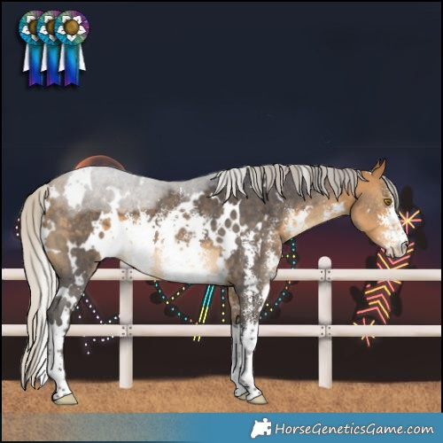 Horse Color:White Spotted Silver Buckskin Sabino 