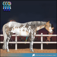 Horse Color:White Spotted Silver Buckskin Sabino 