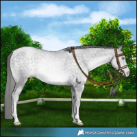 Horse Color:Platinum Buckskin Pearl Mushroom 