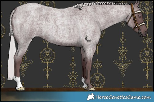 Horse Color:Chocolate Silver Blue Chinchilla Roan 