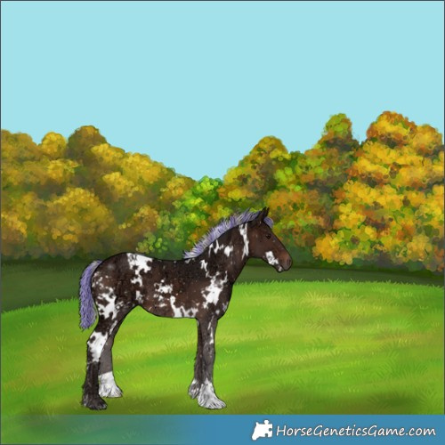 Horse Color:Painted White Spotted Silver Brown Ice 