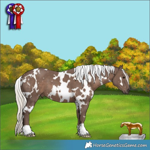 Horse Color:White Spotted Silver Black 