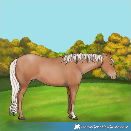 Horse Color:Silver Bay Snowdrop Pearl 
