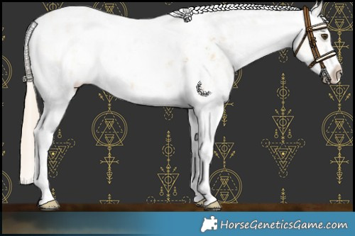 Horse Color:Palomino Dun Sabino Near Leopard Brindle 