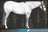 Horse Color:Liver Red Roan Blanket 