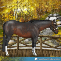 Horse Color:Brown 