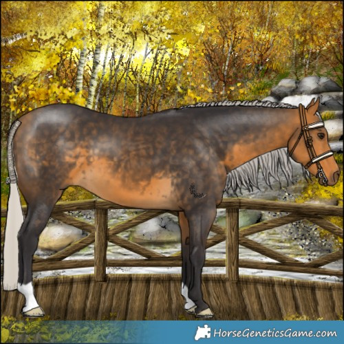 Horse Color:Silver Buckskin 