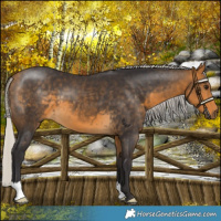 Horse Color:Silver Buckskin 