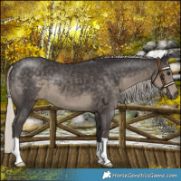 Horse Color:Silver Smoky Black