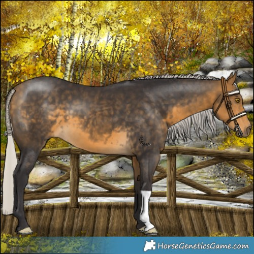 Horse Color:Silver Buckskin 