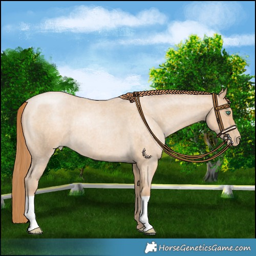 Horse Color:Smoky Blue Roan Pearl 