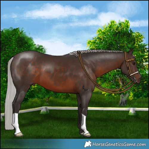Horse Color:Silver Brown 