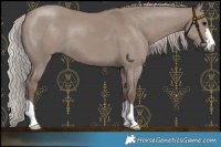 Horse Color:Chocolate Silver Grullo
