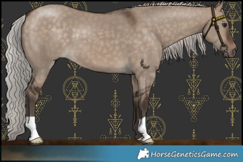 Horse Color:Silver Brown Dun 