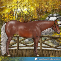 Horse Color:Chocolate Silver Brown 