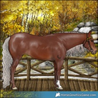 Horse Color:Chocolate Silver Brown 