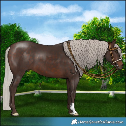 Horse Color:Silver Brown 