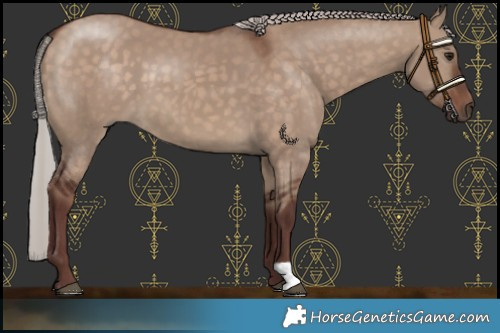 Horse Color:Chocolate Silver Brown Dun