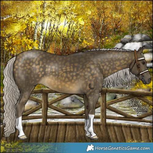 Horse Color:Silver Buckskin 