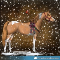 Horse Color:Chestnut Tobiano