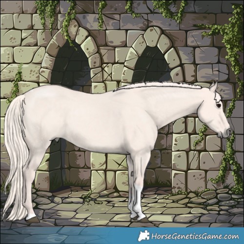 Horse Color:Silver Grullo Tobiano Rabicano