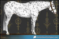 Horse Color:Black Leopard 