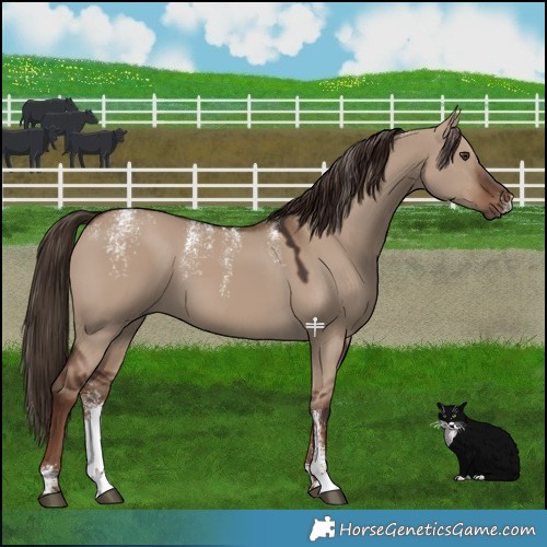 Horse Color:Powder White Liver Red Dun 