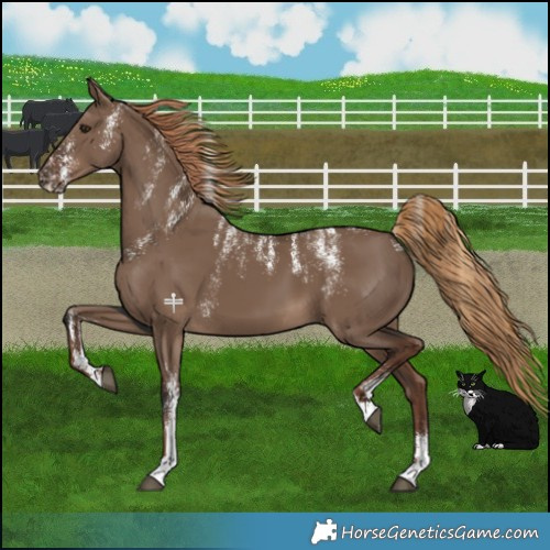 Horse Color:Powder White Liver Red Dun 