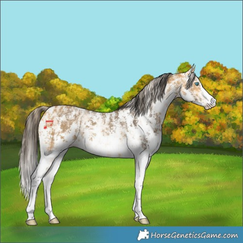 Horse Color:Perlino Sabino and Buckskin Sabino