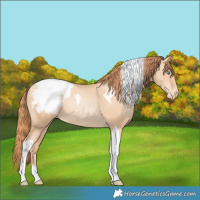 Horse Color:Amber Champagne Pearl Tobiano Snowcap Rabicano 
