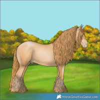 Horse Color:Chestnut Pearl