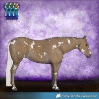 Horse Color:White Spotted Silver Smoky Black 