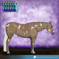Horse Color:White Spotted Silver Smoky Black 