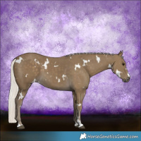 Horse Color:White Spotted Silver Smoky Black 