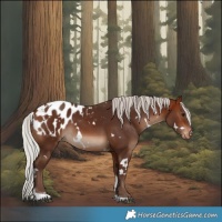 Horse Color:White Spotted Silver Brown Tobiano Appaloosa 