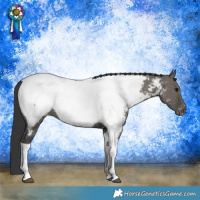 Horse Color:Grullo Tobiano Appaloosa Rabicano 