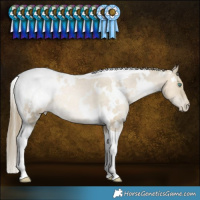 Horse Color:White Spotted Smoky Grullo Snowdrop Tobiano Snowcap Rabicano 
