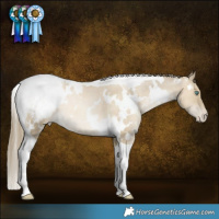 Horse Color:White Spotted Smoky Grullo Snowdrop Tobiano Appaloosa Rabicano