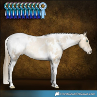 Horse Color:White Spotted Smoky Grullo Snowdrop Tobiano Appaloosa Rabicano 