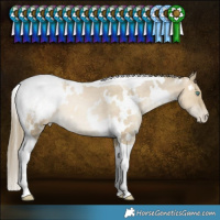 Horse Color:White Spotted Smoky Grullo Snowdrop Tobiano Snowcap Rabicano 