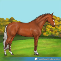 Horse Color:Silver Bay 