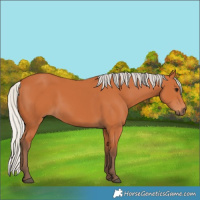 Horse Color:Silver Bay