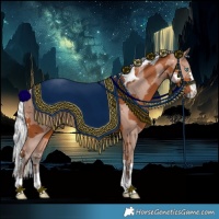 Horse Color:Silver Bay Merle