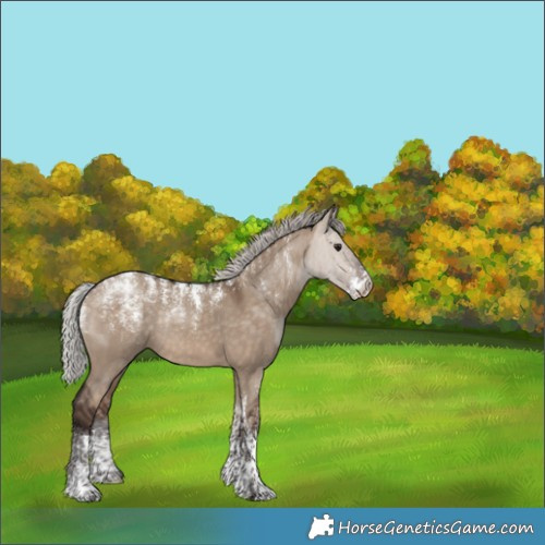 Horse Color:Powder White Silver Bay Dun Rabicano 