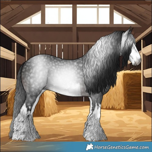 Horse Color:Gray White Spotted Brown 