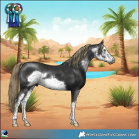 Horse Color:Gray White Spotted Liver Chestnut Mushroom Frame Rabicano
