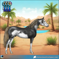 Horse Color:Gray White Spotted Liver Chestnut Mushroom Frame Rabicano 